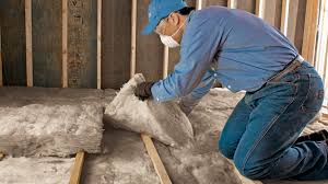 Best Attic Insulation Installation  in Port Huron, MI